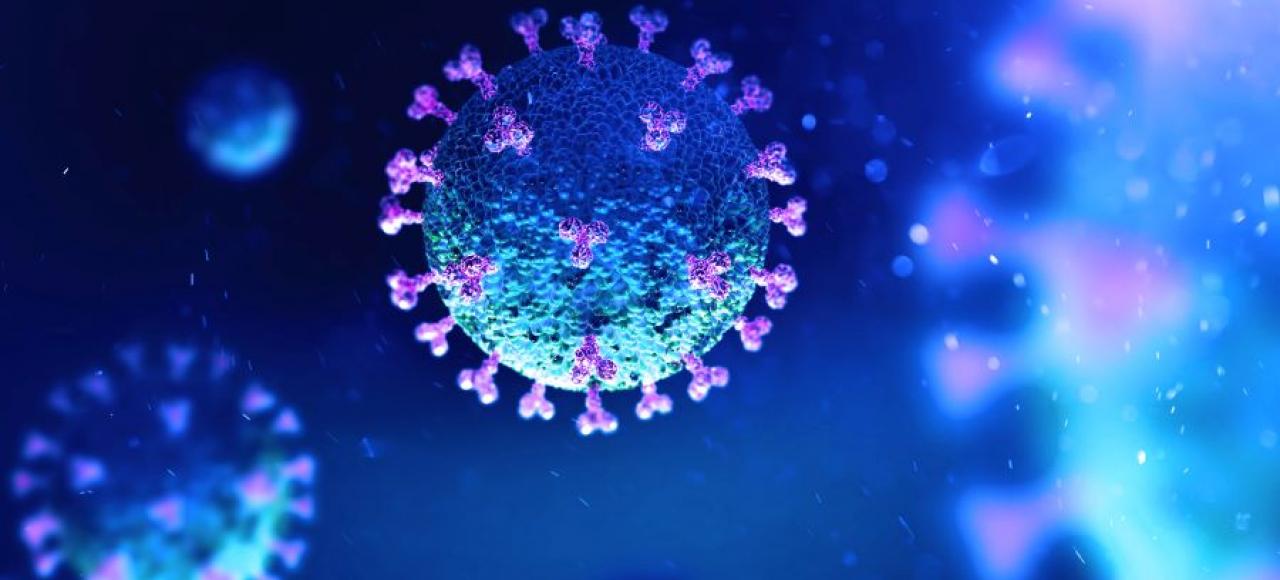 COVID-19, Bacteria, Virus, Health, Bio, Science