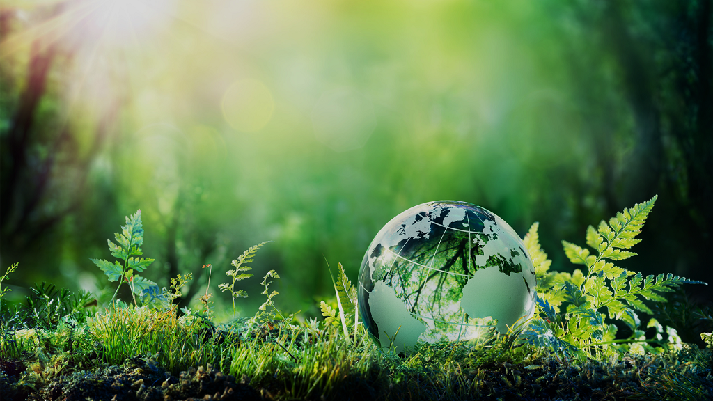 Green earth, forest and leaves - B2B2S