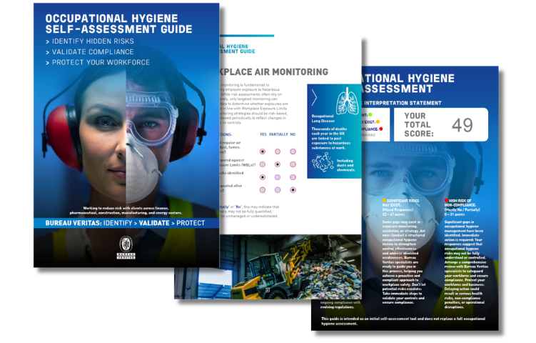 Occupational Hygiene Self-Assessment Guide