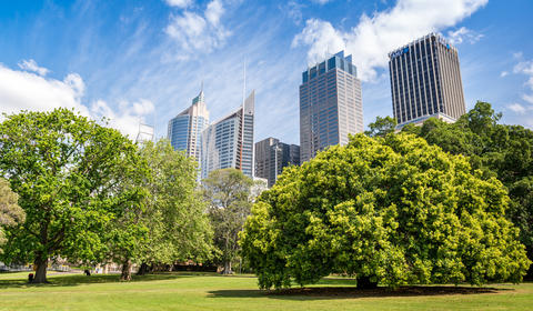 Air Quality, Green, City, 