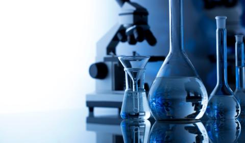 Liane Crouch career story 