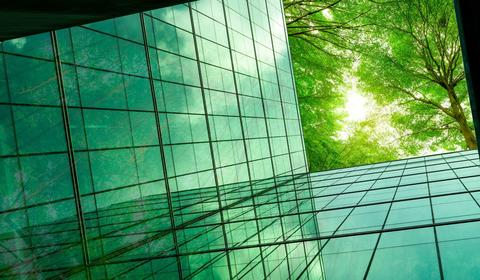 Lauren Brewstar - Hyatt career story 