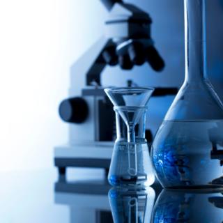 Liane Crouch career story 