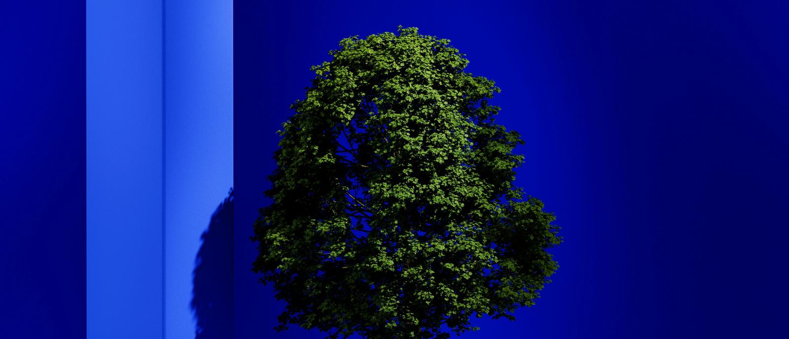 SUSTAINABILITY MAGAZINE