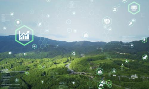 Environmental Assessment