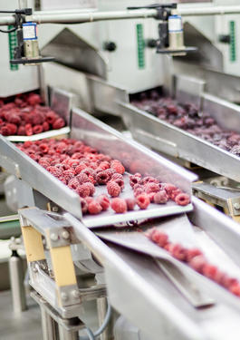 Food Sector Certification