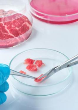 food safety