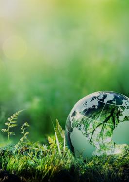 Green earth, forest and leaves - B2B2S