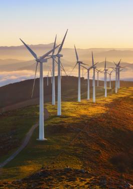 Turbines, Energy, Field, Eco, Green