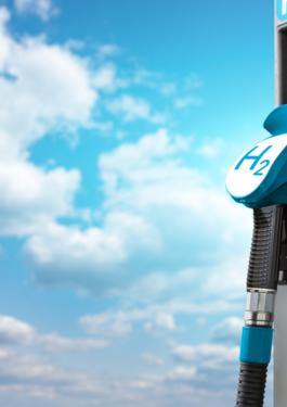 Storage, Distribution, Hydrogen Services