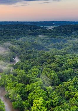 FOREST GREEN SUSTAINABILITY