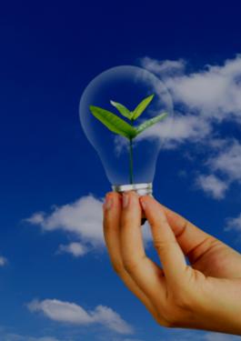 ESG, INNOVATION, GREEN, ECO