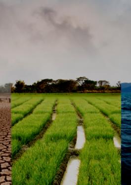 Risk, Compliance, Environment