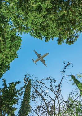 Plane in the sky