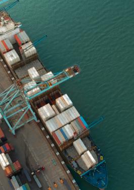 Port cranes