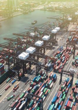 Supply Chain Audit 