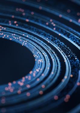 Cyber crisis and resilience services