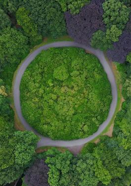 Resource Use & Circular Economy