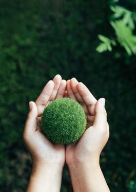 NET ZERO SOLUTIONS