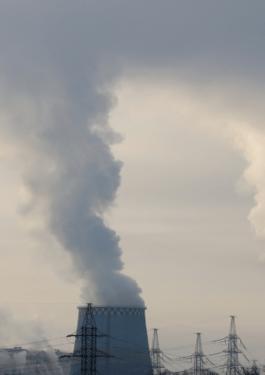 Carbon Services