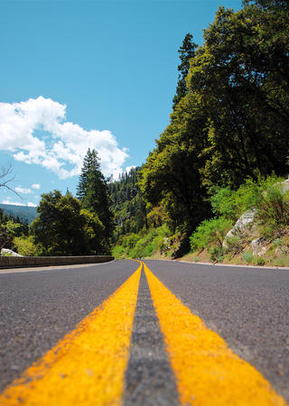 CDP reporting for sustainability Bureau Veritas