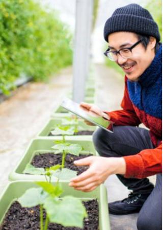 Food Sustainability