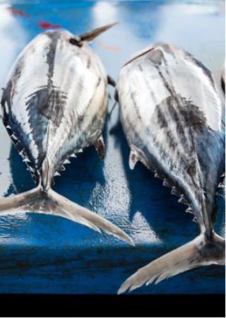 Seafood