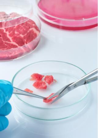 food safety