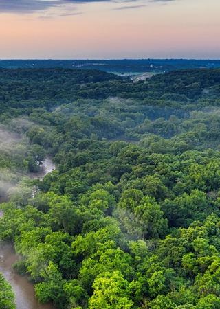 FOREST GREEN SUSTAINABILITY