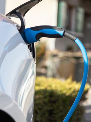 Sustainable Development