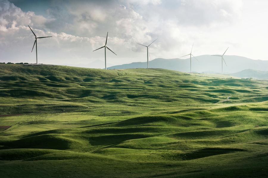 Wind turbines in fields for sustainability reporting