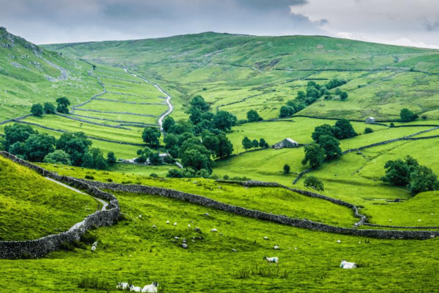 Yorkshire Moors