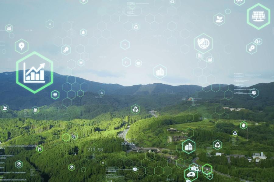 Environmental Assessment
