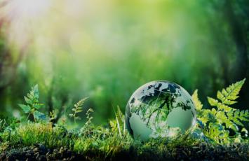 Green earth, forest and leaves - B2B2S