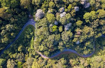 Multinational Beverage manufacturer