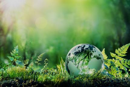 Green earth, forest and leaves - B2B2S