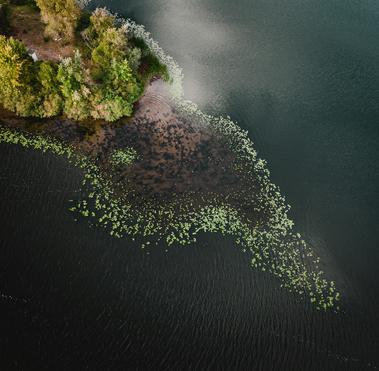 A gap in nature representing gap analysis for CSRD