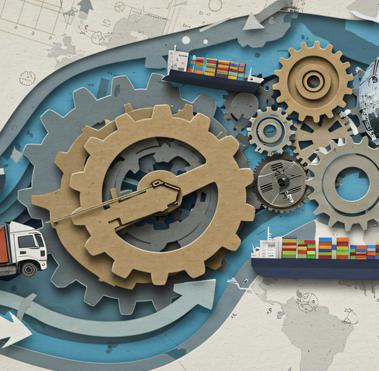 Establishing Your Human Rights Due Diligence Framework