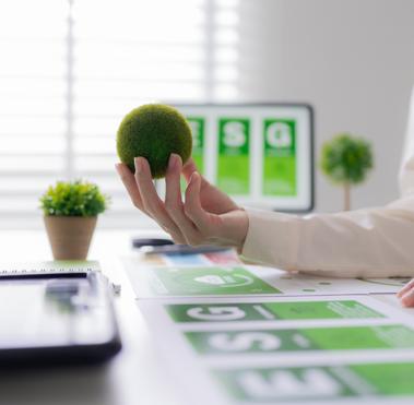 SRS office use image